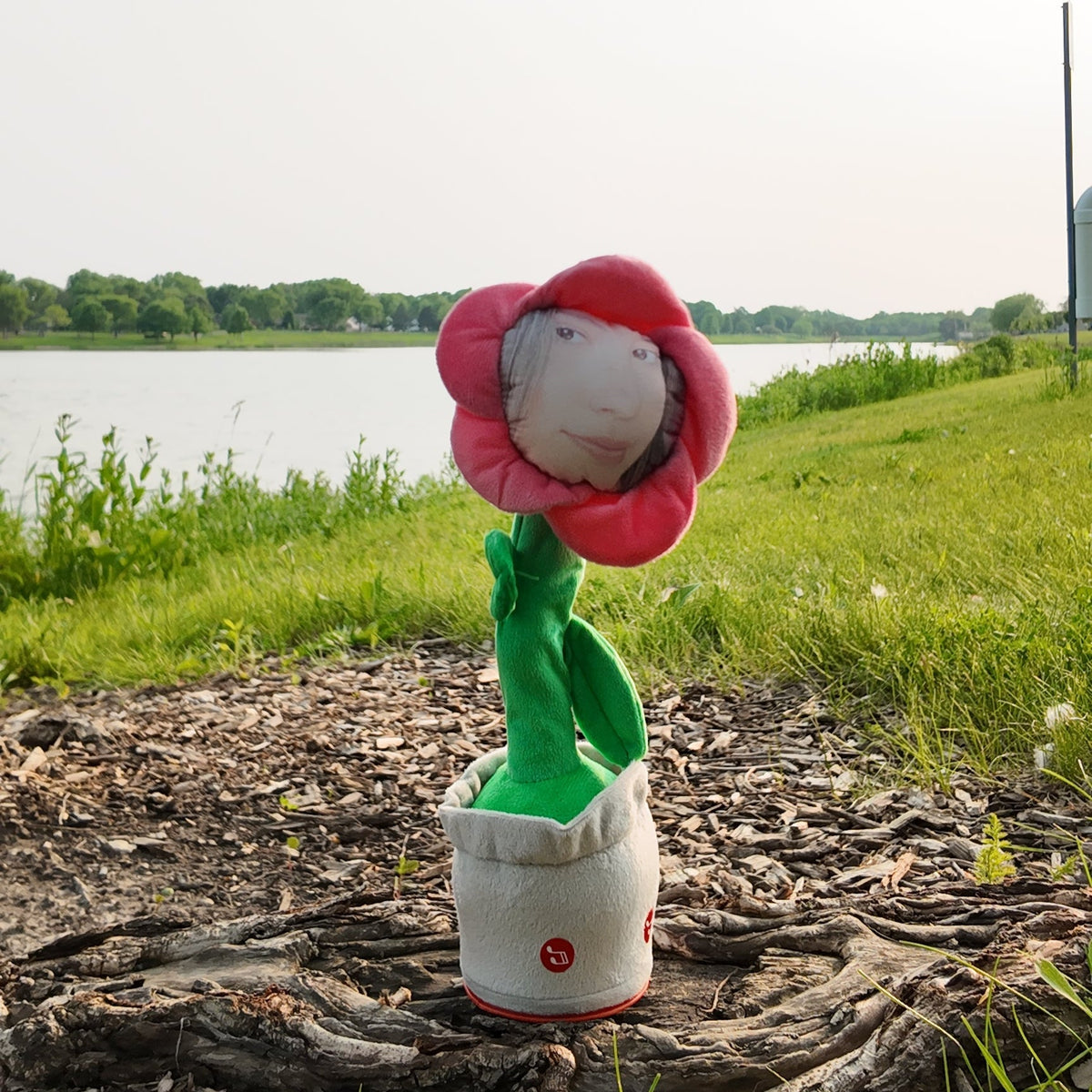 Custom Flower Face